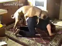 Zoophilia XXX - Hot slut getting drilled by doggy